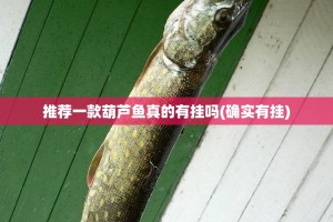 重磅.来袭春天扑克开挂神器(其实真的能开挂)