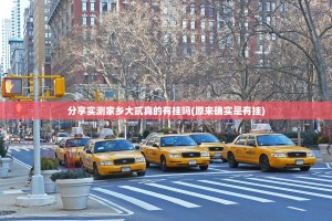 分享实测家乡大贰真的有挂吗(原来确实是有挂)