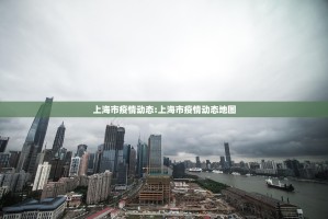 上海市疫情动态:上海市疫情动态地图