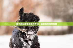 重大通报瓜瓜丰城棋牌万能开挂神器果然有挂