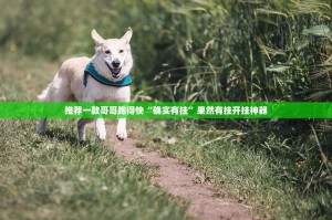 推荐一款哥哥跑得快“确实有挂”果然有挂开挂神器