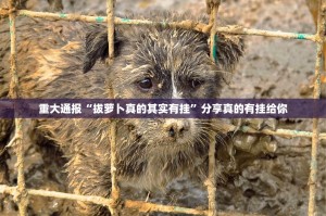 重磅.来袭蜂娱棋牌2果然有挂确实有挂(原来确实是有挂)