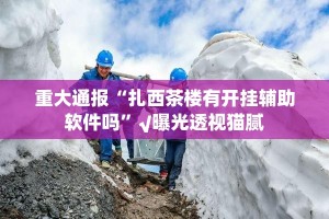重大通报“扎西茶楼有开挂辅助软件吗”√曝光透视猫腻