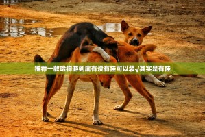 推荐一款哈狗游到底有没有挂可以装√其实是有挂