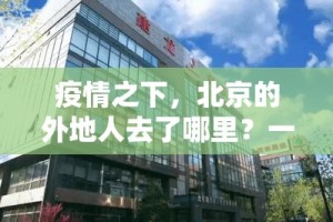 推荐一款浙衢麻将有挂稳赢方法确实真的有挂