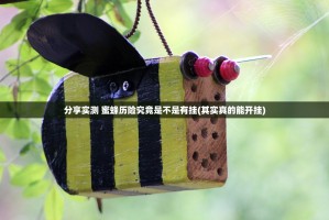 分享实测 蜜蜂历险究竟是不是有挂(其实真的能开挂)
