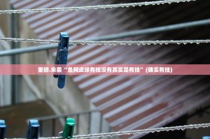 浙江省疫情政策汇总与沈阳最新动态，精准防控下的民生保障