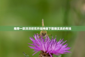 推荐一款洋洋挖花开挂神器下载确实真的有挂
