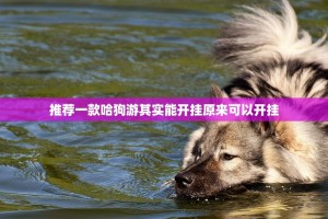 推荐一款哈狗游其实能开挂原来可以开挂