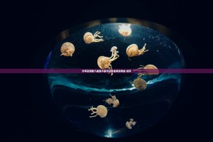 分享实测新八戒是不是可以开挂其实有挂-知乎