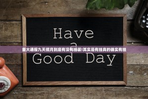 重大通报九天揽月到底有没有挂装!其实是有挂真的确实有挂