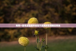 推荐一款毛豆互娱开挂是不是真的实测确实有挂