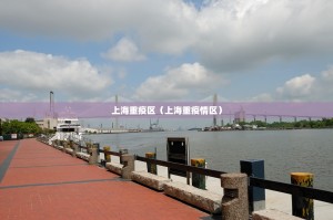 上海重疫区（上海重疫情区）