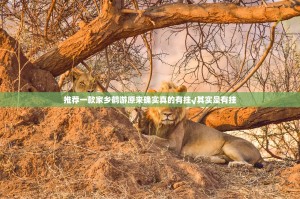 推荐一款家乡鹤游原来确实真的有挂√其实是有挂