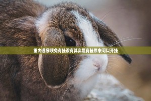 重大通报呗兔有挂没有其实是有挂原来可以开挂