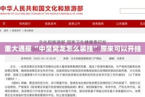 重大通报“中至窝龙怎么装挂”原来可以开挂