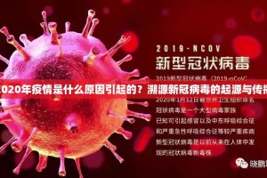 分享实测微乐河南麻将确实有挂吗!√其实是有挂