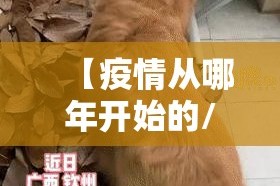 分享实测越乡游麻将开挂软件方法其实确实有挂