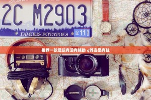 推荐一款爱玩有没有辅助 √其实是有挂