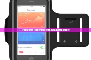 分享实测智玩竞技如何开挂其实真的确实有挂