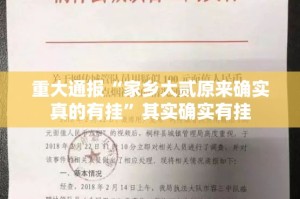 重大通报“家乡大贰原来确实真的有挂”其实确实有挂