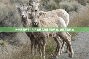 分享实测乐享牛牛真的确实有挂其实有挂√确实真的有挂