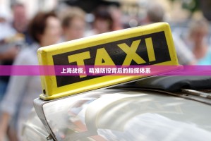 上海战疫，精准防控背后的指挥体系