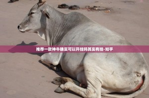 推荐一款神牛确实可以开挂吗其实有挂-知乎