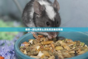 推荐一款比鸡怎么买挂其实确实有挂