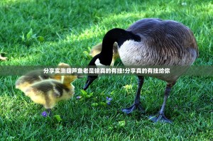 今日重大通报财神十三张是不是真的有挂2025原来可以开挂