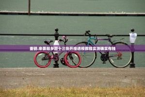 重磅.来袭越乡游十三张开挂透视教程实测确实有挂