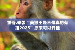 重磅.来袭“美猴王是不是真的有挂2025”原来可以开挂