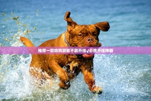 推荐一款闲来互娱挂软件其实有挂-知乎