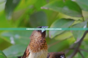 分享实测“小吆三打哈挂怎么买!”(确实有挂)