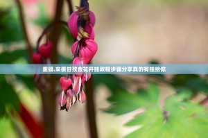 重磅.来袭甘孜金花开挂教程步骤分享真的有挂给你