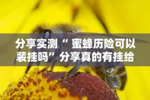 今日重大通报新九天确实真的有挂!(原来确实是有挂)