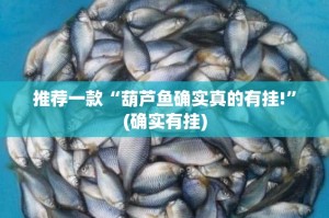 推荐一款“葫芦鱼确实真的有挂!”(确实有挂)