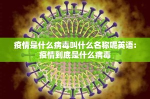 重磅.来袭汇友互动确实真的有挂!2025（果然有挂）