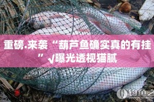 【疫情郑州商场 济南有开门吗/疫情郑州商场 济南有开门吗今天】