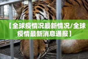 今日重大通报榕城510K其实真的确实有挂原来真可以开挂