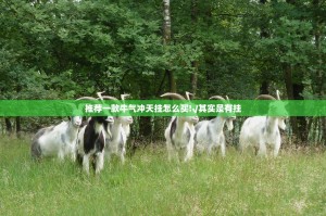 重磅.来袭越乡游斗牛如何开挂！详细开挂教程其实真的确实有挂