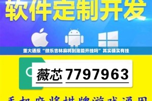 今日重大通报指尖联盟其实能开挂原来可以开挂