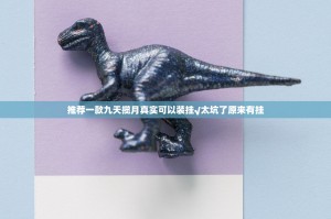 推荐一款九天揽月真实可以装挂√太坑了原来有挂
