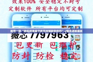 重磅.来袭秦皇岛互娱辅助挂 (其实真的能开挂)