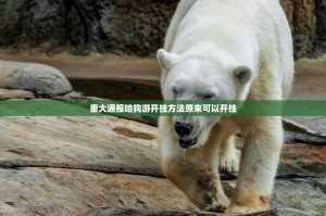 重大通报哈狗游开挂方法原来可以开挂