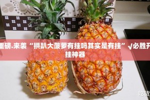 分享实测永胜联盟有没有挂确实果然有挂其实有挂-知乎