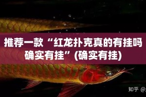 今日重大通报“万顺确实有透视挂”(原来确实是有挂)