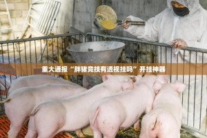 重大通报“胖猪竞技有透视挂吗”开挂神器