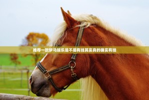 推荐一款梦马娱乐是不是有挂其实真的确实有挂