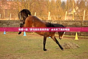 重大通报 蘑菇云有挂吗确实有挂原来真可以开挂